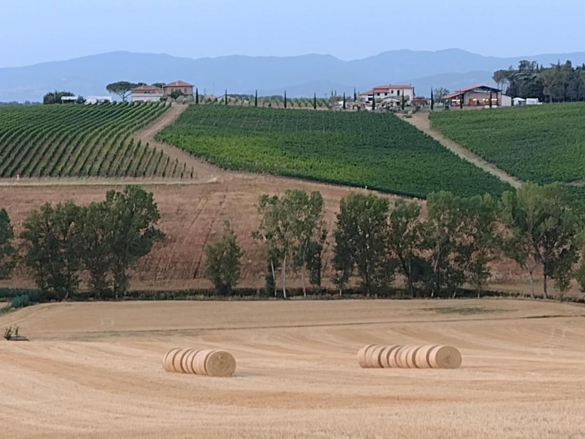 Gioiella Casa La Selvella 빌라 외부 사진